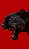 Profile picture of The Redprint Project