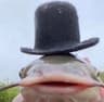 Profile picture of Your average Person